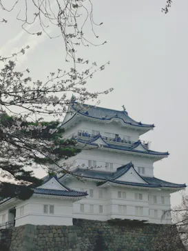 小田原城に投稿された画像（2026/3/31）