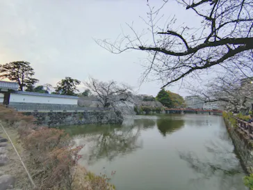 小田原城に投稿された画像（2026/3/31）