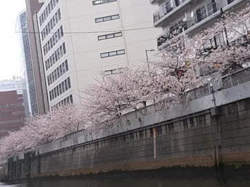 東京ウォータウェイズに投稿された画像（2026/3/31）