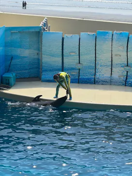新江ノ島水族館に投稿された画像（2026/3/31）