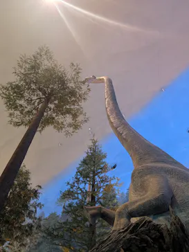 福井県立恐竜博物館に投稿された画像（2026/3/31）