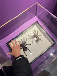 特別展「超危険生物展　科学で挑む生き物の本気」に投稿された画像（2026/3/31）