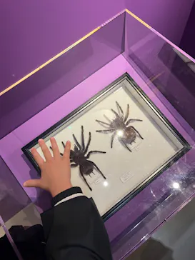 特別展「超危険生物展　科学で挑む生き物の本気」に投稿された画像（2026/3/31）