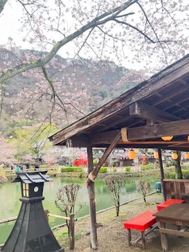 江戸ワンダーランド 日光江戸村に投稿された画像（2026/3/31）