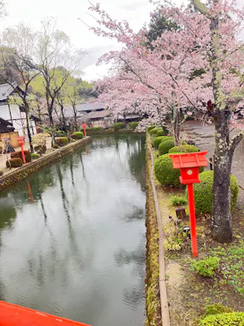 江戸ワンダーランド 日光江戸村に投稿された画像（2026/3/31）