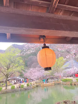 江戸ワンダーランド 日光江戸村に投稿された画像（2026/3/31）