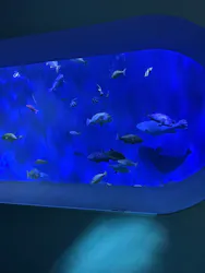 大分マリーンパレス水族館 「うみたまご」に投稿された画像（2026/3/31）