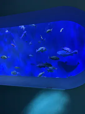 大分マリーンパレス水族館 「うみたまご」に投稿された画像（2026/3/31）