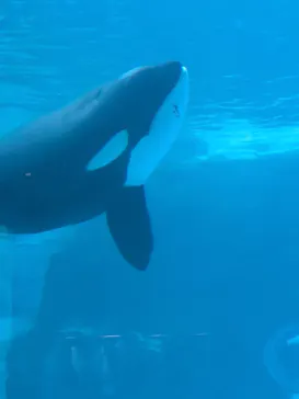 名古屋港水族館に投稿された画像（2026/3/31）