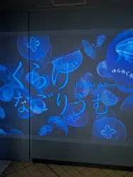 名古屋港水族館に投稿された画像（2026/3/31）