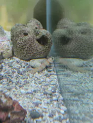 名古屋港水族館に投稿された画像（2026/3/31）