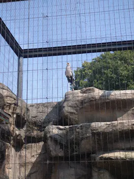 東武動物公園に投稿された画像（2026/3/31）