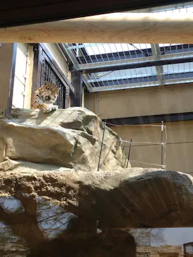 東武動物公園に投稿された画像（2026/3/31）