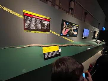 特別展「超危険生物展　科学で挑む生き物の本気」に投稿された画像（2026/3/31）