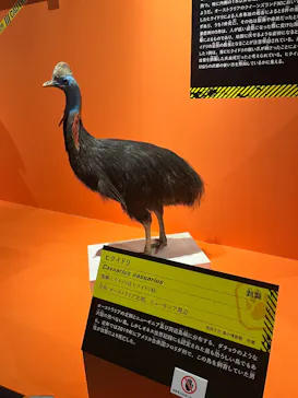 特別展「超危険生物展　科学で挑む生き物の本気」に投稿された画像（2026/3/31）