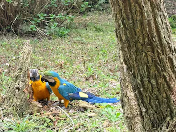 長崎バイオパークに投稿された画像（2026/3/31）