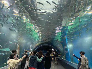 マクセル アクアパーク品川に投稿された画像（2026/3/31）