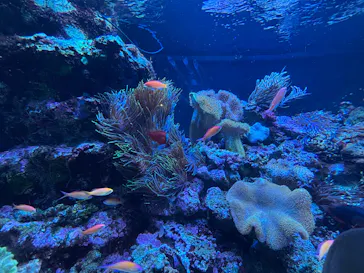 マクセル アクアパーク品川に投稿された画像（2026/3/31）