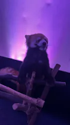 横浜・八景島シーパラダイスに投稿された画像（2026/3/31）