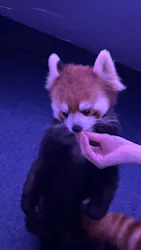 横浜・八景島シーパラダイスに投稿された画像（2026/3/31）