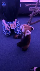 横浜・八景島シーパラダイスに投稿された画像（2026/3/31）