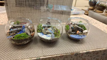 カルチャースクールいろはに投稿された画像（2026/3/31）