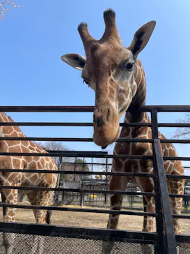 宇都宮動物園に投稿された画像（2026/3/31）