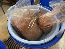 沖縄美ら海水族館（館内体験）に投稿された画像（2026/3/31）