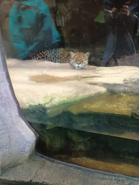 那須どうぶつ王国に投稿された画像（2026/3/31）