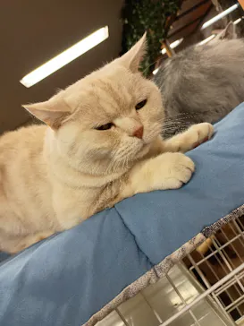 那須どうぶつ王国に投稿された画像（2026/3/31）