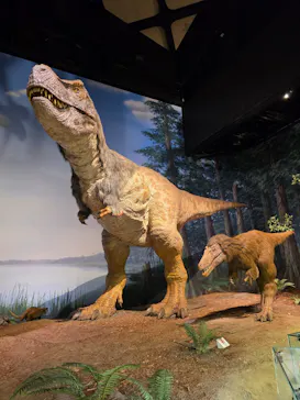 ミュージアムパーク茨城県自然博物館に投稿された画像（2026/3/31）