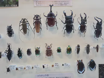 ミュージアムパーク茨城県自然博物館に投稿された画像（2026/3/31）