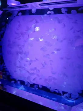 レゴランドⓇ・ジャパン・リゾートに投稿された画像（2026/3/31）