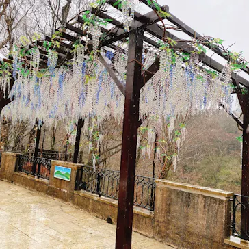 箱根ガラスの森美術館に投稿された画像（2026/3/31）