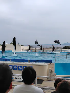 沖縄美ら海水族館に投稿された画像（2026/4/1）