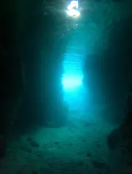 武藤潜水に投稿された画像（2026/4/1）