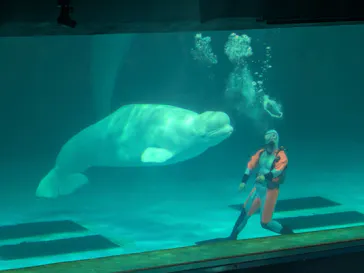 鴨川シーワールドに投稿された画像（2026/4/1）