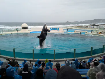 鴨川シーワールドに投稿された画像（2026/4/1）