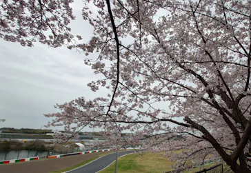 鈴鹿サーキットに投稿された画像（2026/4/1）