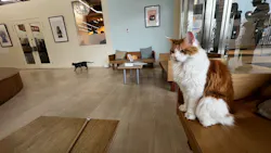 Cat Café MOFF 水戸オーパ店に投稿された画像（2026/4/1）