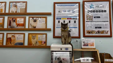 Cat Café MOFF 水戸オーパ店に投稿された画像（2026/4/1）