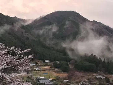 美輝の里に投稿された画像（2026/4/1）