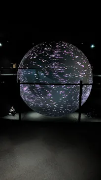 NIFREL（ニフレル）に投稿された画像（2026/4/1）