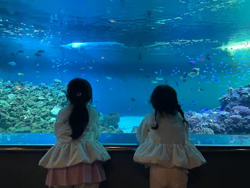 葛西臨海水族園に投稿された画像（2026/4/1）