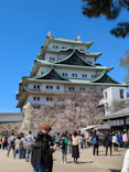 名古屋城に投稿された画像（2026/4/1）