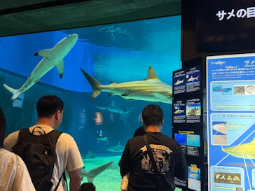 沖縄美ら海水族館に投稿された画像（2026/4/1）