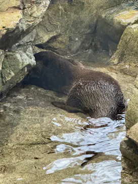 新江ノ島水族館に投稿された画像（2026/4/1）