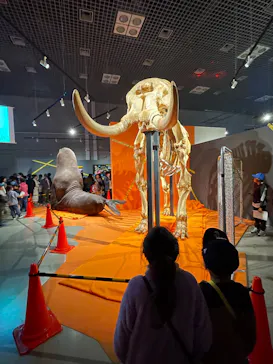 特別展「超危険生物展　科学で挑む生き物の本気」に投稿された画像（2026/4/1）