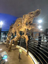 福井県立恐竜博物館に投稿された画像（2026/4/1）