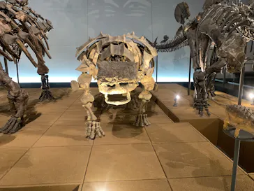 福井県立恐竜博物館に投稿された画像（2026/4/1）